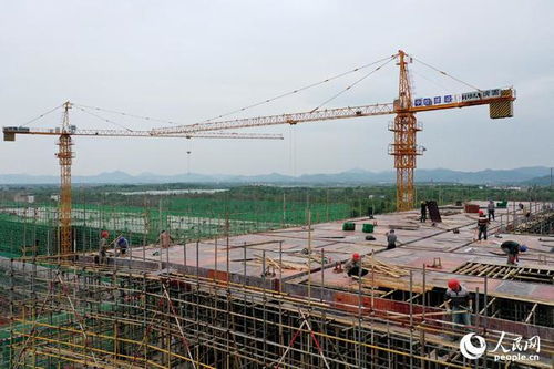 江西撫州加速建設大健康食品產業示范園，打造產業發展新高地