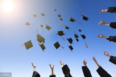 應屆生身份有多珍貴？精準把握黃金機遇，開啟職場坦途